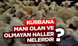 Kurbana mani olan ve olmayan haller nelerdir?