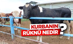 Kurbanın rüknü nedir?