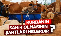 Kurbanın sahih olmasının şartları nelerdir?