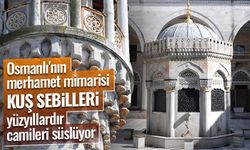 Osmanlı'nın merhamet mimarisi "kuş sebilleri" yüzyıllardır camileri süslüyor