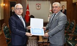 Sivas Valisi Şimşek, kurbanını TDV'ye emanet etti