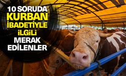 10 soruda kurbanla ilgili merak edilenler