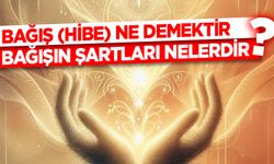 Bağış (Hibe) ne demektir? Bağışın şartları nelerdir?