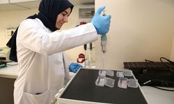 Bilim insanları, Alzheimer hastalığını kan tahliliyle erken teşhis için çalışıyor