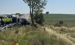 Edirne'de ağaca çarpan otomobildeki 5 kişi öldü, 1 kişi yaralandı