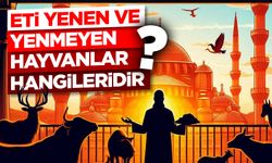 Eti yenen ve yenmeyen hayvanlar hangileridir?