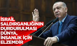 Cumhurbaşkanı Erdoğan: İsrail saldırganlığının durdurulması dünya, insanlık için elzemdir