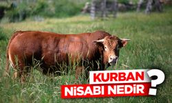 Kurban nisabı nedir?