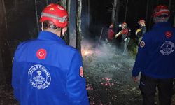 TDV Eskişehir Arama Kurtarma Ekibi yangınla mücadelede görev başında