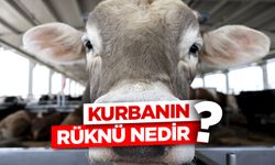 Kurbanın rüknü nedir?