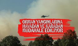 Uşak'taki orman yangınına müdahale ediliyor