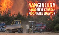 Ormanlık alanlarda çıkan yangınlara havadan ve karadan müdahale ediliyor