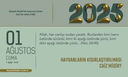 Hayvanların Kısırlaştırılması Caiz Midir?