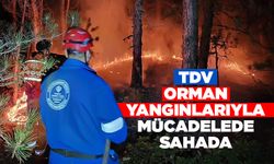 TDV, orman yangınlarıyla mücadelede sahada