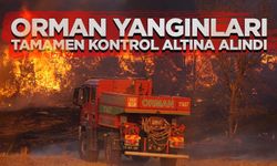 Çanakkale, Edirne, Hatay ve Manisa'daki orman yangınları tamamen kontrol altına alındı