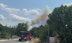 Çanakkale'de tarım arazisinde başlayıp ormana sıçrayan yangına müdahale ediliyor