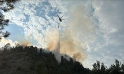 Karabük'te çıkan orman yangını müdahaleler sonucu kontrol altına alındı.