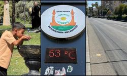 Şanlıurfa'da termometreler 53 dereceyi gösterdi