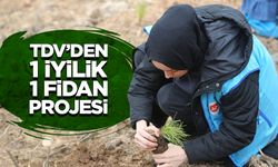 TDV’den “1 İyilik 1 Fidan” projesiyle fidan seferberliği