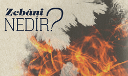 Zebani Nedir?