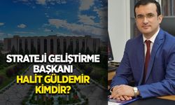 Strateji Geliştirme Başkanı Halit Güldemir kimdir?