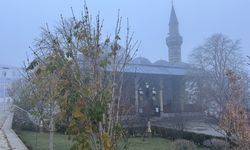 Erzurum, Ardahan ve Kars'ta soğuk hava ile sis etkili oluyor