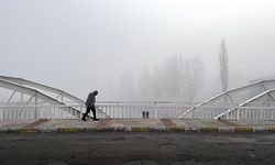 Ardahan'da kuşların gökyüzündeki dansı görüntülendi