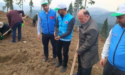 Bolat: Toprak fidanla, dünya merhametle yeşerir