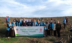 Bursa'da "Gazze Şehitleri Hatıra Ormanı" oluşturuldu