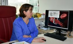 Demir eksikliğinin çocuklardaki olumsuz etkisi