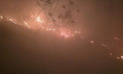 Hatay'da ormanlık alanda yangın çıktı