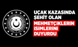 MSB 20 askerin şehit olduğunu açıkladı