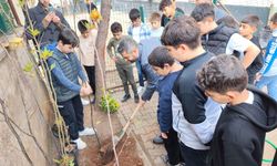 Sultanbeyli'de ağaçlandırma günü etkinliği