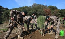 Aydın'da şehitler için fidan dikildi