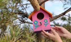 Oltu'da kurs öğrencileri kuş evi yaparak doğaya bıraktı