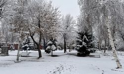 Erzurum ve çevresinde kar yağışı etkili oldu