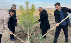 Iğdır'da Hz. Peygamber anısına hatıra ormanı oluşturuldu