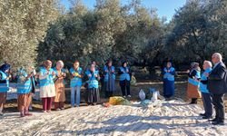 Yatağan'da "Zeytin Hasadı ve Bereket Duası" yapıldı
