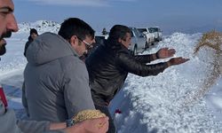 Çaldıran'da din görevlileri doğaya yem bıraktı