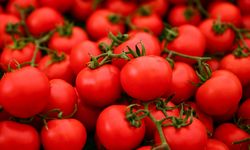 En çok tüketilenler belli oldu