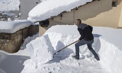 Tunceli'de köylüler damlarda kar atma ve "loğ" çekme mesaisinde