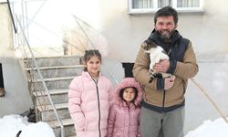 İmamın kedilere çağrısı karşılık buldu