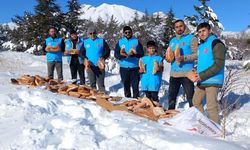 Develi'de yaban hayvanları unutulmadı