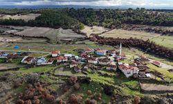 Türkiye'nin köy sayısı belli oldu