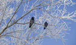 Dondurucu soğuklar yaşamı olumsuz etkiliyor