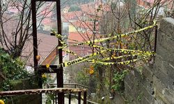 Zonguldak'ta heyelan