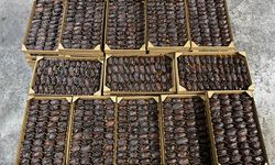 Filistinli yetkililer işgalci hurmalarının Filistin etiketiyle pazarlandığı uyarısında bulundu