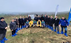 Tekirdağ'da "Mevlid-i Nebi Hatıra Ormanı" oluşturuldu