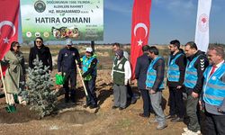 Babaeski'de Hz. Peygamber anısına fidan diktiler