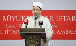 Prof. Dr. Arpaguş: İmkânlarımızı tüm Müslümanlar için bir araya getirmeliyiz